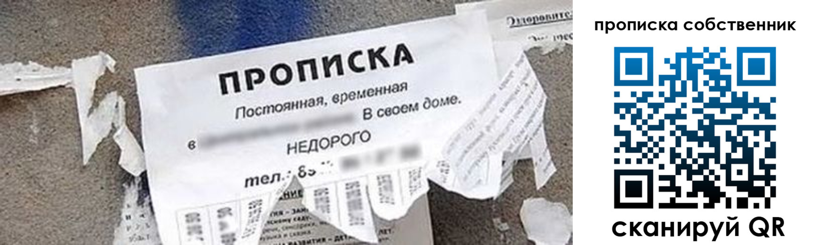 пропишу в квартире в Великом Новгороде